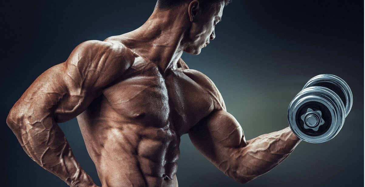 How CBD Can Affect Muscle Growth » CNBC Posts